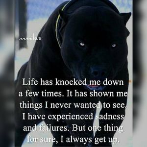 Meet your Posher, Henry